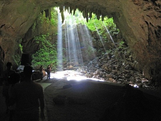 Exploring The Depths: How Deep Are The Rio Camuy Caves