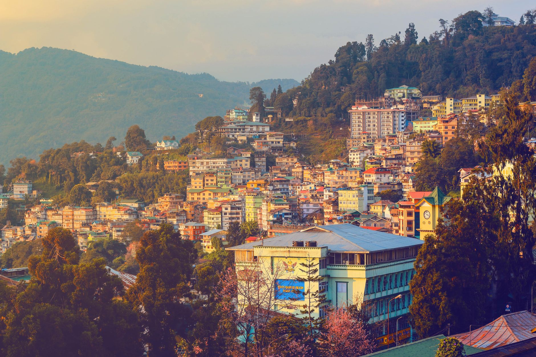 SMU Sikkim MD/MS counselling